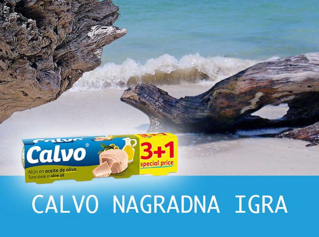 calvo