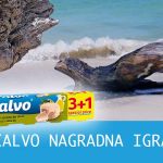 calvo